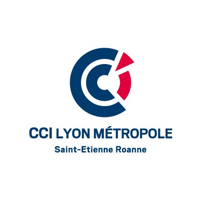 Logo CCILM.jpg