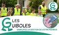 Vignette pour la version du 14 novembre 2023 à 18:27